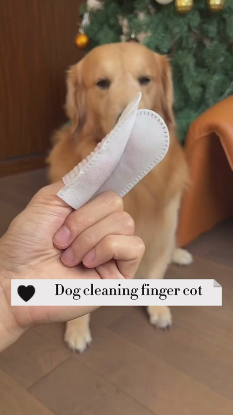 Disposable Dental Finger Wipes For Pets